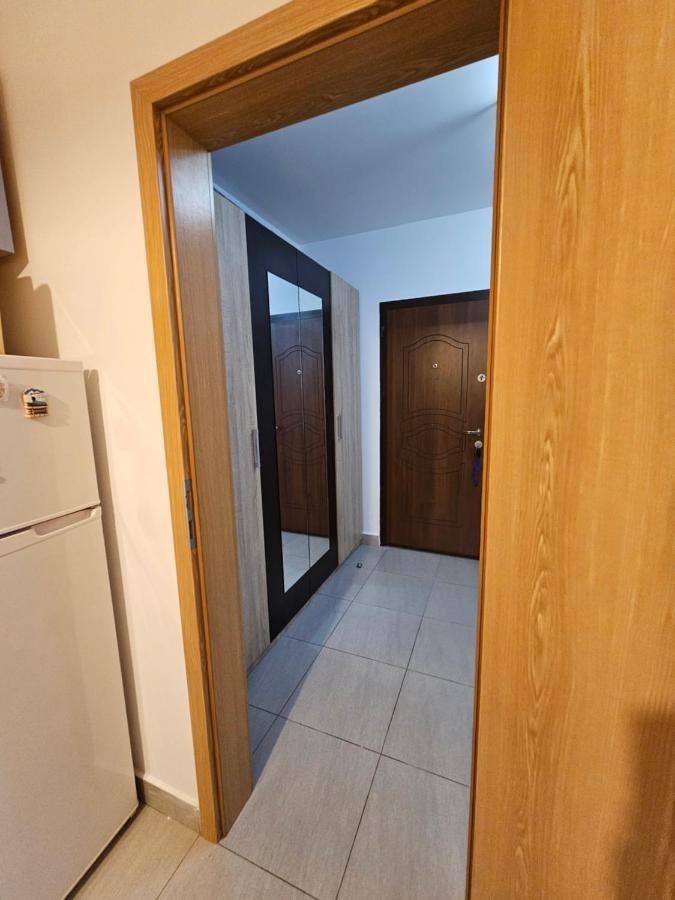 Elena'S Studio Brasov Coresi Exterior foto